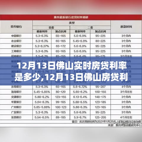 2024年12月13日 第10页