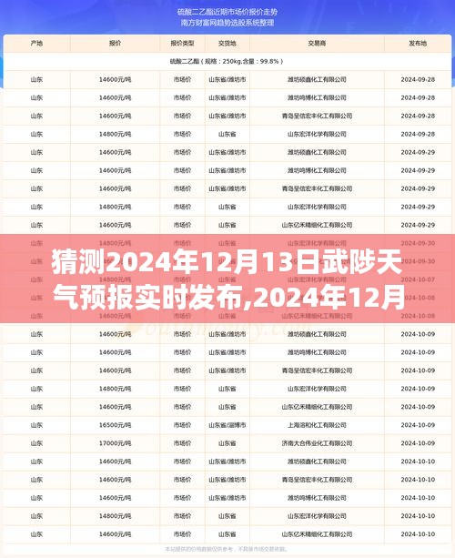 2024年12月13日武陟天气预报实时发布，气象预测及应对建议