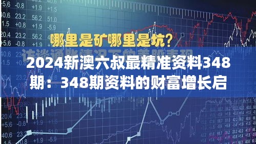 2024新澳六叔最精准资料348期：348期资料的财富增长启示录