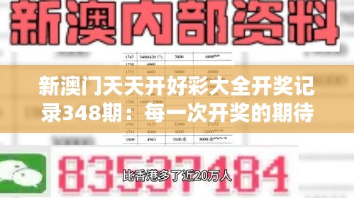 新澳门天天开好彩大全开奖记录348期：每一次开奖的期待与激情