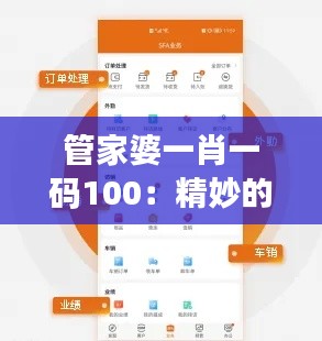 管家婆一肖一码100：精妙的管理与高效的生活工具