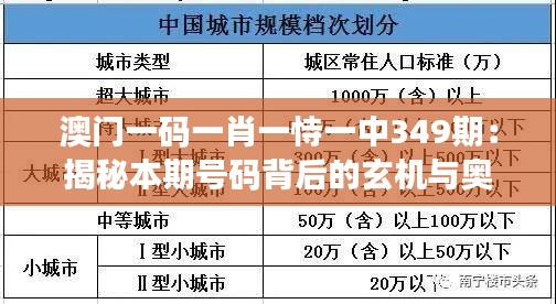 澳门一码一肖一恃一中349期：揭秘本期号码背后的玄机与奥秘