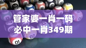 管家婆一肖一码必中一肖349期：策略布局，让梦想照进现实