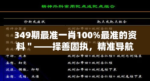 349期最准一肖100%最准的资料＂——择善固执，精准导航