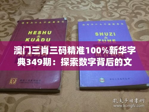 澳门三肖三码精准100%新华字典349期：探索数字背后的文化现象