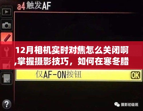 如何关闭相机实时对焦，摄影技巧助你开启自信与成长之旅（12月篇）