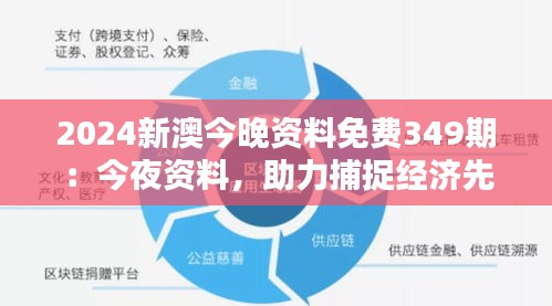 2024新澳今晚资料免费349期：今夜资料，助力捕捉经济先机