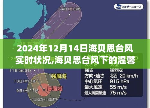 海贝思台风下的温馨日常，特殊约会与实时状况追踪