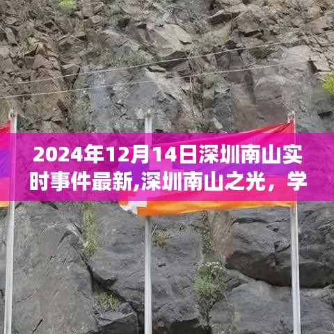 2024年12月14日 第13页