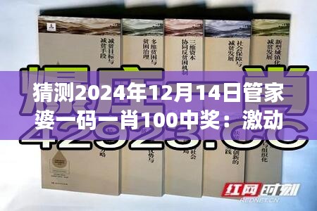 猜测2024年12月14日管家婆一码一肖100中奖：激动人心的赌局，静待结果