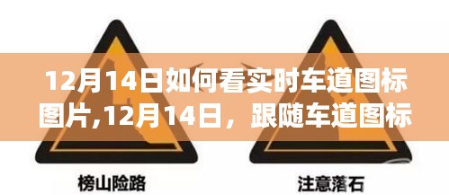 12月14日实时车道图标解读，心灵与自然的美景之旅启程时刻