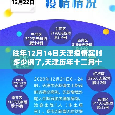 天津历年十二月十四日疫情状况分析，实时数据与多方观点聚焦探讨