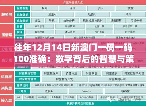 往年12月14日新澳门一码一码100准确：数字背后的智慧与策略