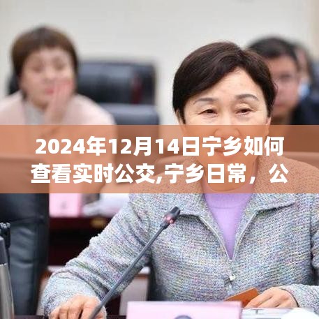 宁乡实时公交查看指南，公交奇遇与温馨相伴的日常时光（2024年12月14日）