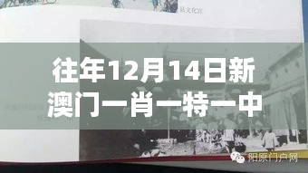 往年12月14日新澳门一肖一特一中：澳门历史的珍贵记忆