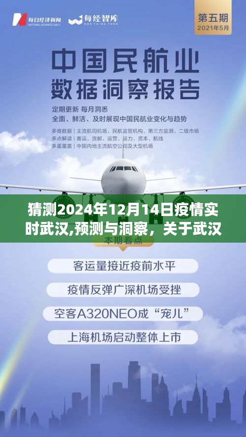 关于武汉疫情未来走向的探讨，预测与洞察，疫情实时武汉展望至2024年12月14日