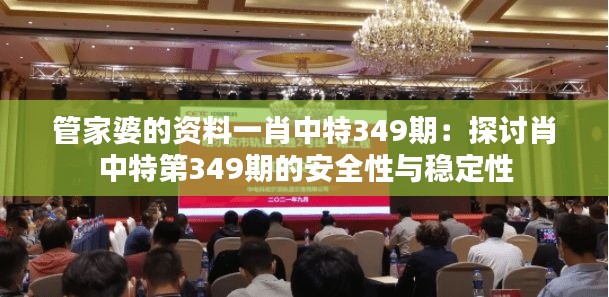 管家婆的资料一肖中特349期：探讨肖中特第349期的安全性与稳定性