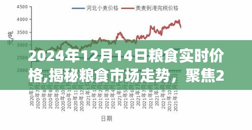 揭秘粮食市场走势，聚焦实时价格动态分析（以2024年12月14日为例）