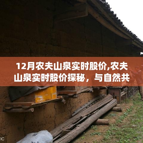 农夫山泉实时股价探秘，与自然共舞，追寻内心平和的旅程