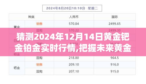 2024年12月14日贵金属行情大揭秘，黄金、钯金、铂金实时行情预测之旅