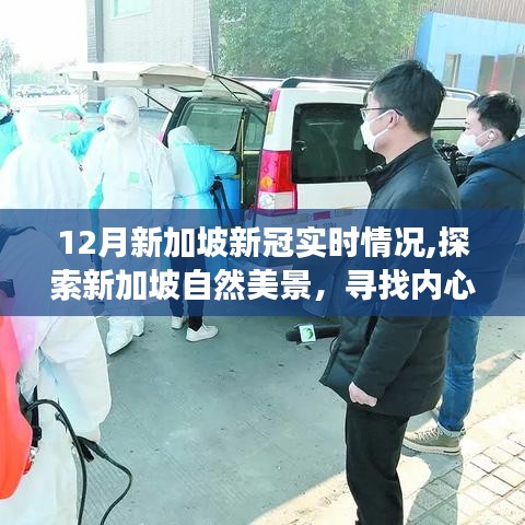 疫情下的探索之旅，十二月新加坡的自然美景与实时疫情关注