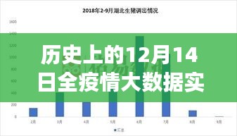 疫情下的特殊数据之旅，揭秘历史12月14日全疫情大数据实时查询的数字魔法