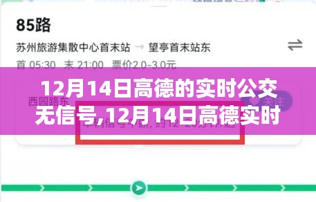 高德实时公交信号中断解析与应对方案，原因及解决策略（12月14日）