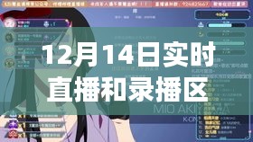 2024年12月15日 第16页