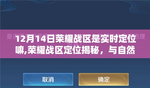 2024年12月15日 第15页