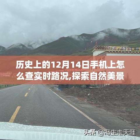 手机实时路况探索，自然美景之旅与内心的宁静交响曲