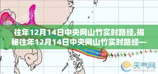 2024年12月15日 第13页