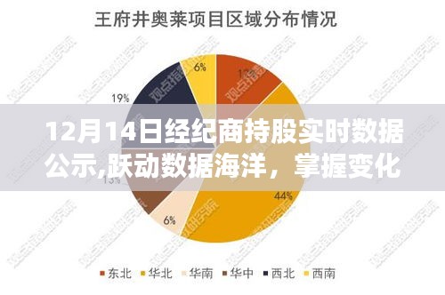 揭秘数据动态，12月14日经纪商持股实时数据公示深度解读