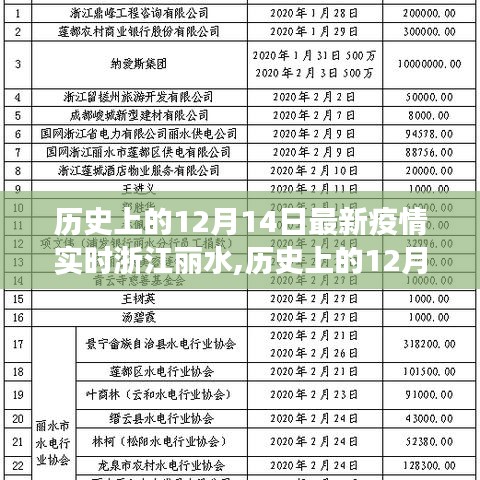 2024年12月15日 第12页