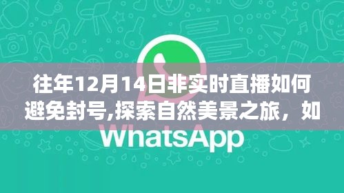 往年直播经验分享，避免封号，安全导航探索自然美景之旅，寻找内心宁静港湾的秘诀