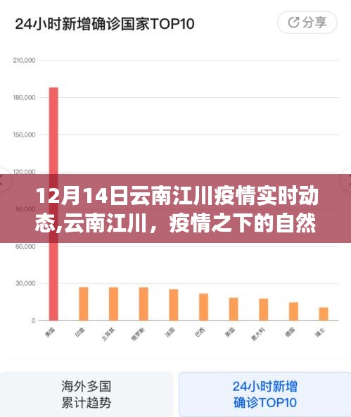 云南江川疫情实时动态，疫情之下的自然探索之旅，寻找内心的宁静力量