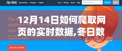 冬日数据探险记，12月14日爬取网页实时数据的技巧与欢乐时光