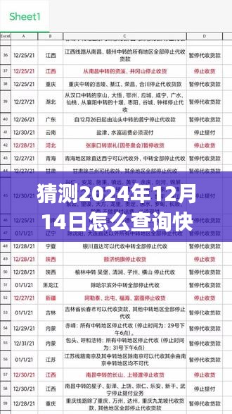 2024年快递实时GPS查询展望，便捷性与隐私考量的博弈