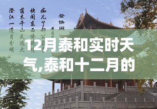 泰和十二月天气实录，冷暖交织的交响曲