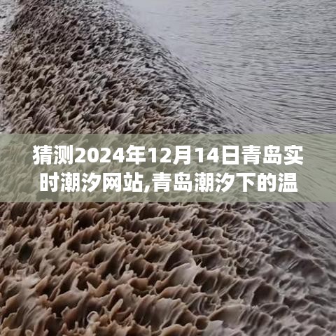 青岛潮汐下的温情时光，友情与陪伴的温馨故事，预测2024年潮汐动态