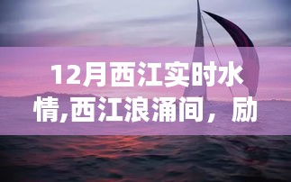 12月西江实时水情，浪涌前行，自信筑梦之舟