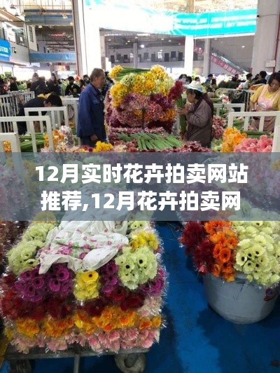 12月花卉拍卖网站全面解析与推荐