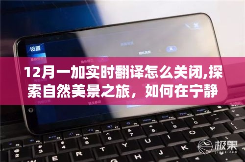 如何关闭一加实时翻译并探索自然美景之旅，重拾内心的宁静与平和