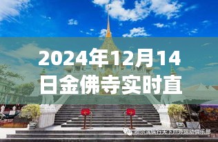 探秘金佛寺，寻找内心平静的奇妙之旅直播预告，2024年12月14日不见不散