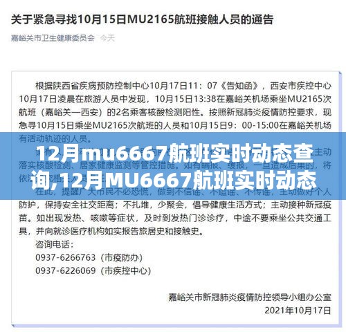 12月MU6667航班实时动态查询，掌握航班信息，畅享无忧旅行