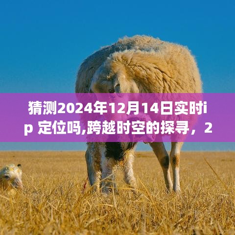 跨越时空的探寻，预测2024年实时IP定位技术的潜在飞跃