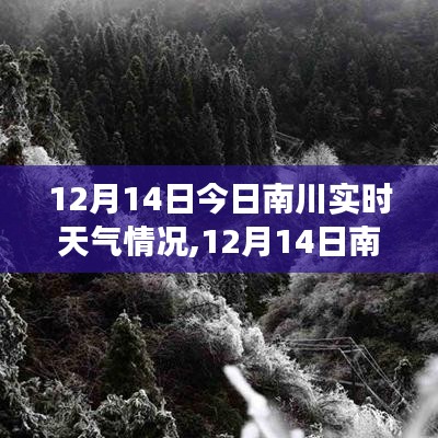 12月14日南川实时天气全面解析与体验分享