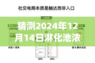 2024年12月16日 第23页