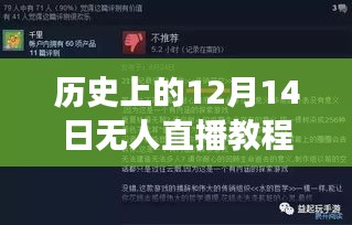 跨越时空的无人直播教程实时视频，历史上的励志直播之旅——12月14日篇