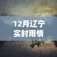 辽宁地区十二月最新实时雨情播报与案例分析速递