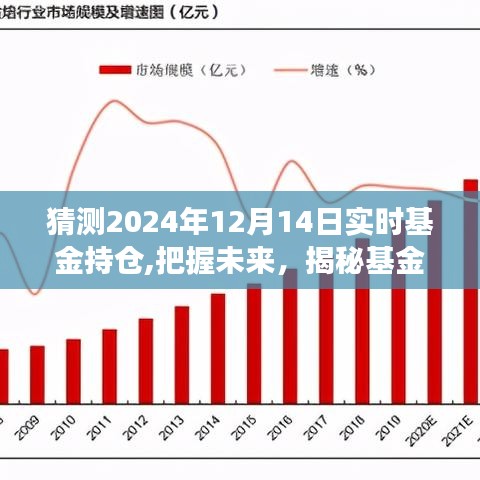 揭秘未来基金盛宴，揭秘基金持仓变化，把握机遇，成就梦想之旅的自信之旅（预测至2024年12月）